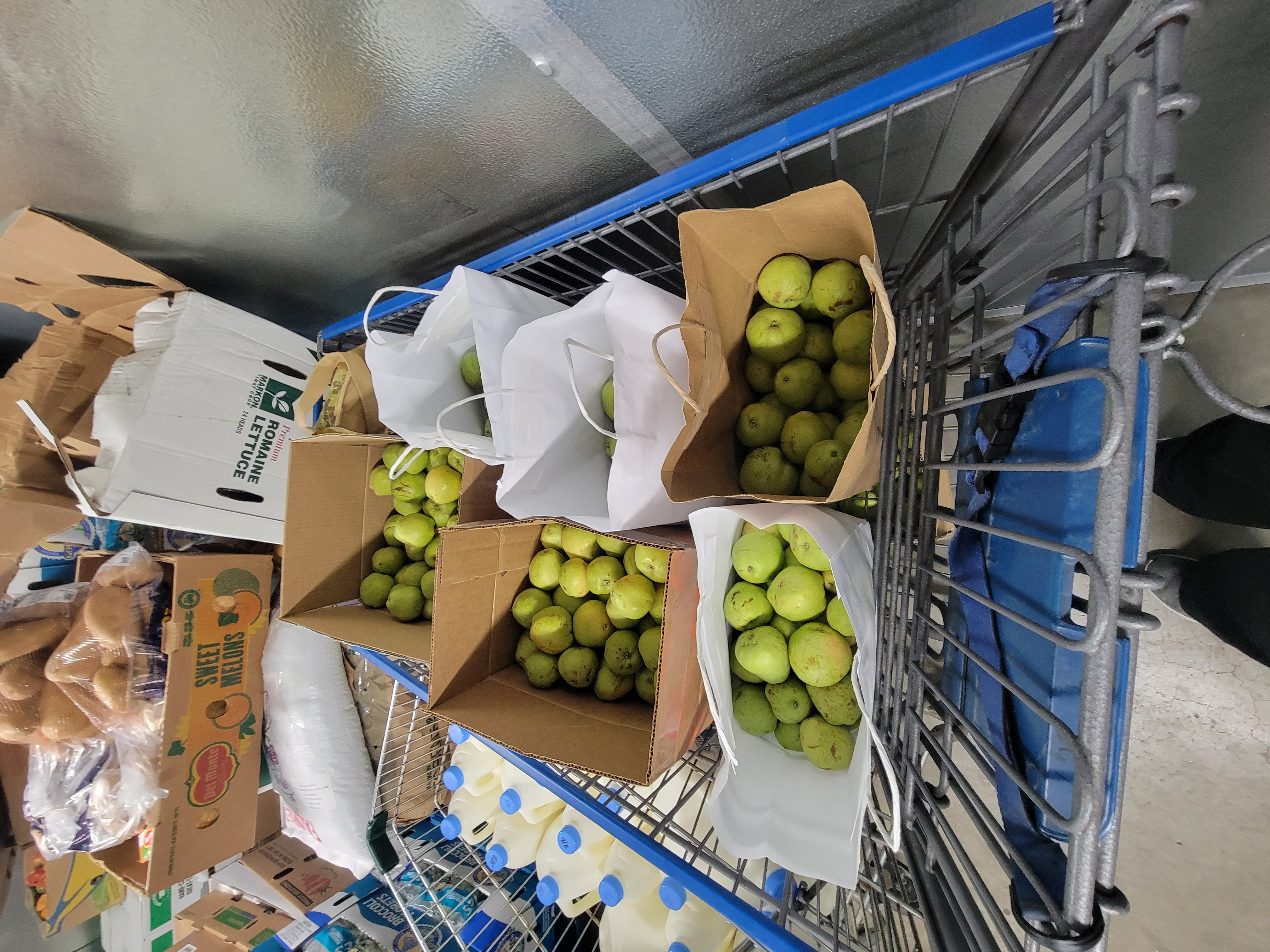 Two water bottles in fruit box on top of banana boxes in fridge.